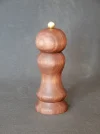 DSCN2345.webp