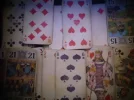DSCI3136.webp