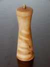 DSCN2356.webp
