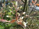 DSCN9975.webp