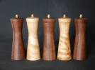 DSCN2359.webp