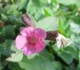IMG_4015 (2).webp