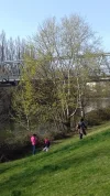 20200327_155325.webp