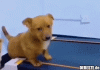 7 workout.gif