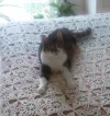 Pez_Alles meins!.webp