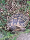 IMG-20190711-WA0002.webp