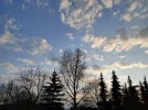 Himmel home IMG20200406194917.webp