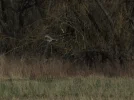 IMG_3975 (2).webp