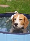 20190808_101931.webp