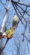 DSC_1072.webp