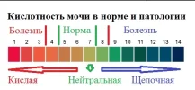 ...мочевыводящих путей..........