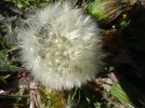 DSC07262.webp