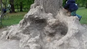 20200419_161206.webp