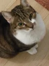 Pez_guckt süß_1.webp