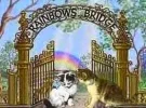 regebogenbruecke_01.webp