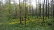 In der Au_2.webp