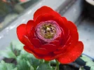 DSCN0041.webp