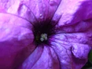 DSCN0042.webp