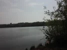 angler bekommt besuch.webp