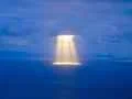 !1 Avatar astor.webp