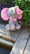 Corone elefantenbaby.webp