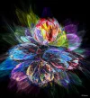FABERGE 28042020_1.webp