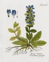 vi251-1j3.webp
