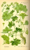 tafel_094_small.webp