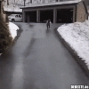 7 Schaf video.gif