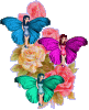 33586.gif 33586.gif