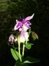 dscn3123.webp