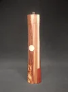 DSCN2427.webp