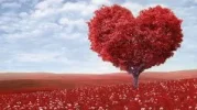 !1 Aavatar Herz.webp