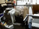 DSCN2436.webp