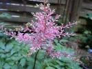 DSCN9710.webp