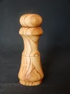 DSCN2453.webp