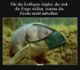 7fisch.webp