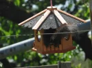 DSCN3374 (800x600).webp