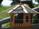 DSCN3382 (800x600).webp