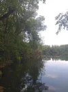 IMG-20200523-WA0010.webp