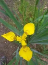 IMG-20200523-WA0012.webp