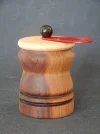 DSCN2477.webp