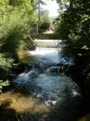 DSCN2479.webp