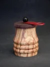 DSCN2483.webp