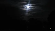 mond4.webp