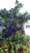 20200606_120257.webp