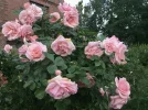 037F69DD-8A9C-4243-9526-1C1240230923.webp