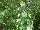 73222003-8DA8-461E-B229-0661CC8F1138.webp