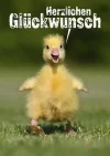 7 Glückwunsch.webp