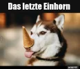 7 das letze einhorn530.webp